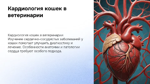 Кардиология кошек в ветеринарии