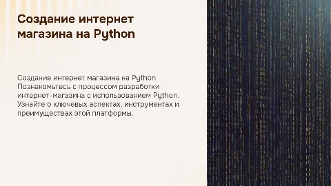 Создание интернет магазина на python
