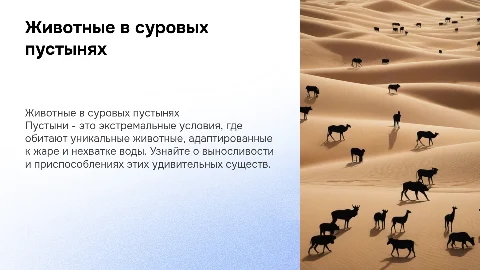 Животные пустынь