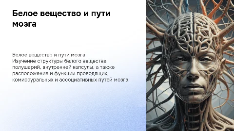 Белое вещество полушарий: внутренние капсулы и пути мозга