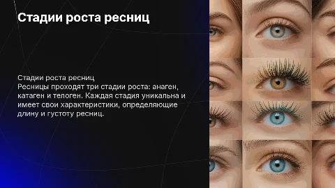 стадии жизни роста ресниц