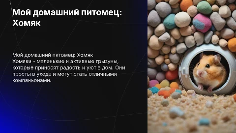 мой домашний питомец хомяк