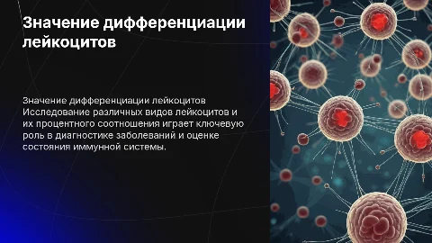 Клинико-диагностическое значение дифференсации лейкоцитов