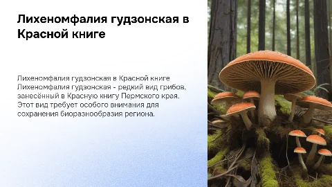Лихеномфалия гудзонская: редкий вид в Красной книге