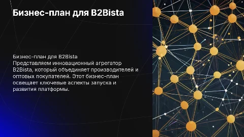 Бизнес план по запуску нового бизнеса B2Bista