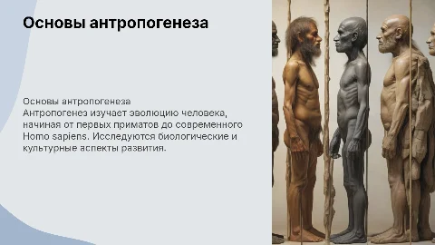 основы антропогенеза