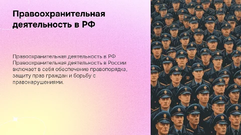 Правоохранительная деятельность в РФ