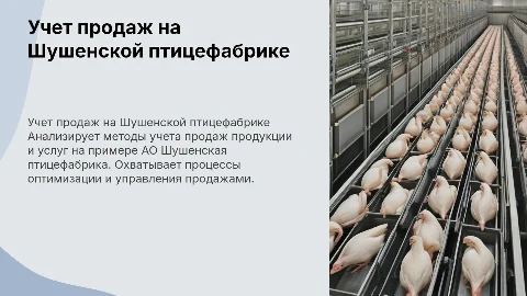 Учет продажи продукции на примере АО Шушенская птицефабрика