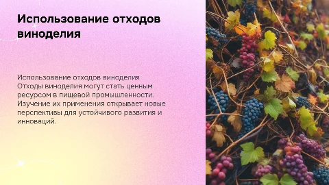 Использование отходов виноделия в пищевой промышленности