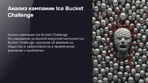 Анализ коммуникационной кампании «Ice Bucket Challenge»