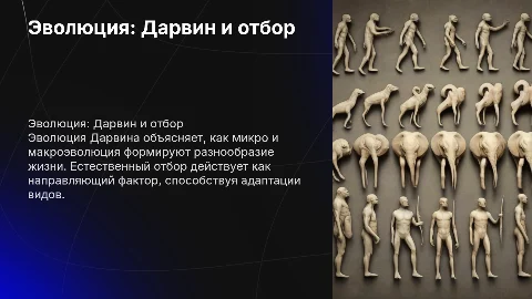 Эволюция Дарвина: микро и макроэволюция, естественный отбор