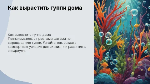 Как вырастить гуппи в домашних условиях для первоклассника