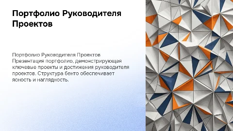 Презентация портфолио руководителя проектов в строгом стиле