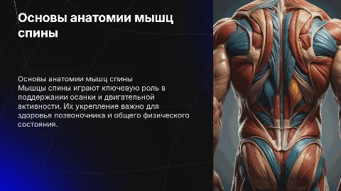 Мышцы спины