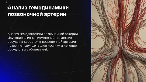 Анализ гемодинамики в позвоночной артерии: презентация