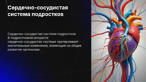 Особенности сердечно-сосудистой системы у подростков