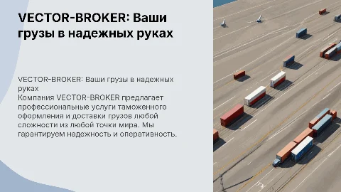 VECTOR-BROKER: услуги таможенного оформления и доставки грузов