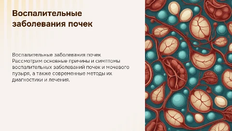 Воспалительные заболевания почек и мочевого пузыря