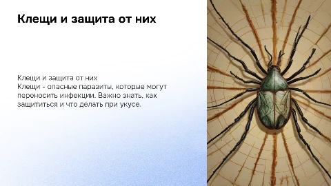 Тема: клещи, и что делать когда клещ напал