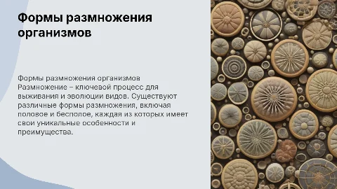 формы размножения организмов презентация