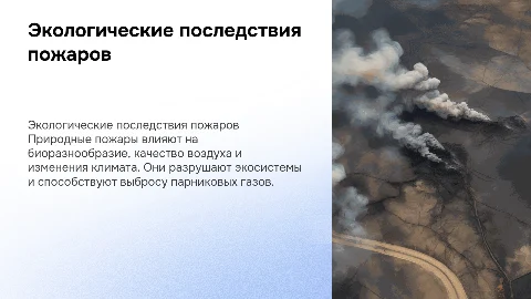 экологические последствия природных пожаров