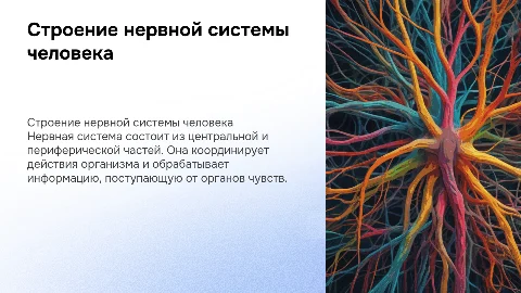 Строение нервной системы