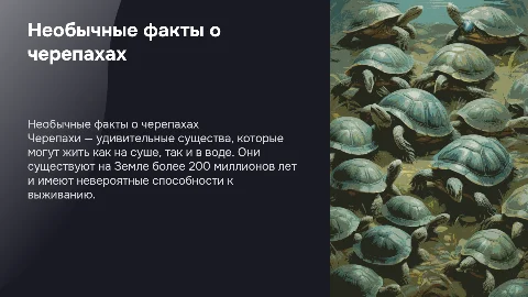 Интересные необычные факты про черепах