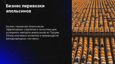 презентация бизнеса перевоза апельсинов из Турции