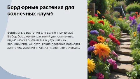 Бордюрные растения для оформления клумбы на солнце