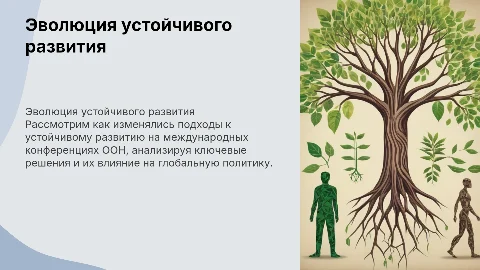 Эволюция взглядов на устойчивое развитие в решениях ООН