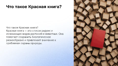 Красная книга: значение, виды и примеры растений