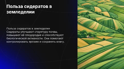 польза сидератов