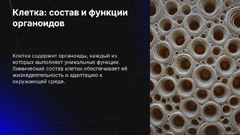 Клетка: химический состав и функции органоидов
