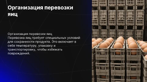 организация перевозки яиц