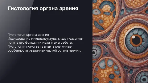 Гистология орган зрения