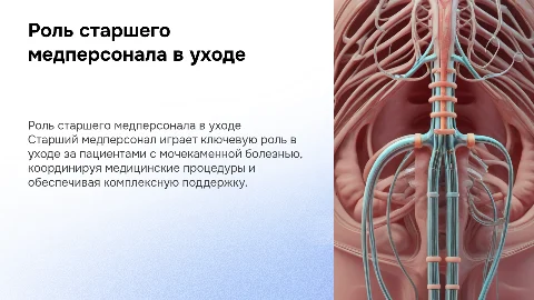 Роль старшего медперсонала при уходе за пациентами с МКБ
