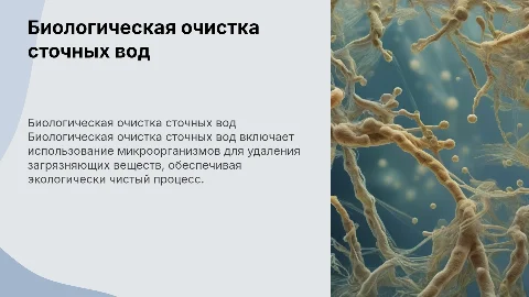 Биологическая очистка сточных вод