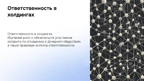 Ответственность участников холдинга по обязательствам дочерних обществ