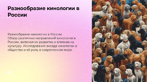 Разнообразие кинологии в России
