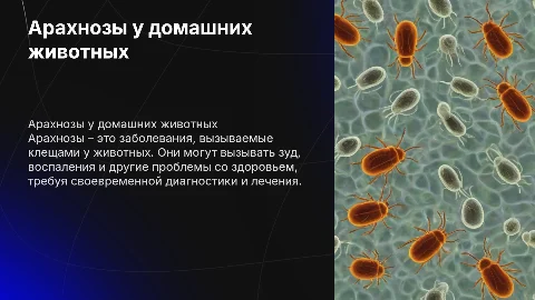 Арахнозы домашних животных