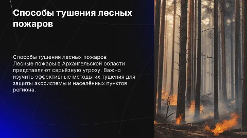 Способы тушения лесных пожаров в Архангельской области