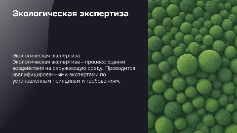 Экологическая экспертиза: принципы, требования и значимость