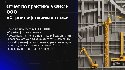 Отчет по практике в ФНС и ООО «Стройнефтехиммонтаж»