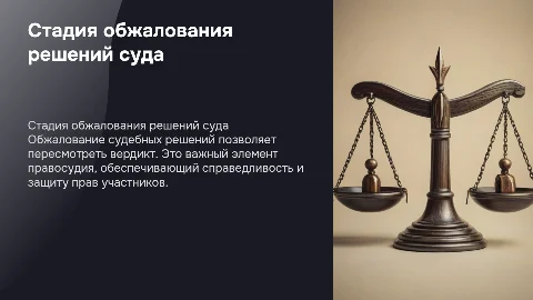 стадия обжалования судебных решений