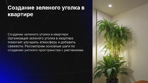 Создание зеленого уголка в квартире