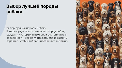 какую породу собак лучше всего завести