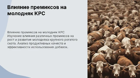 влияние премиксов на продуктивные качества молодняка крс