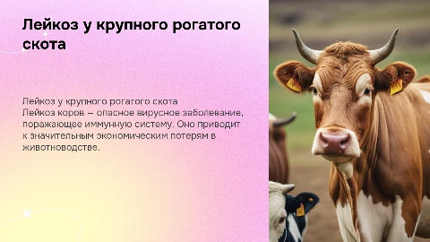 Лейкоз коров