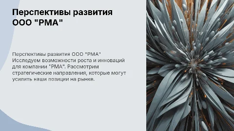 Перспективы развития компании ООО "РМА"