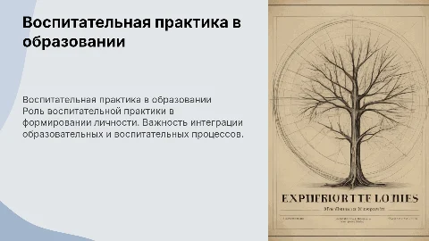 воспитательная практика